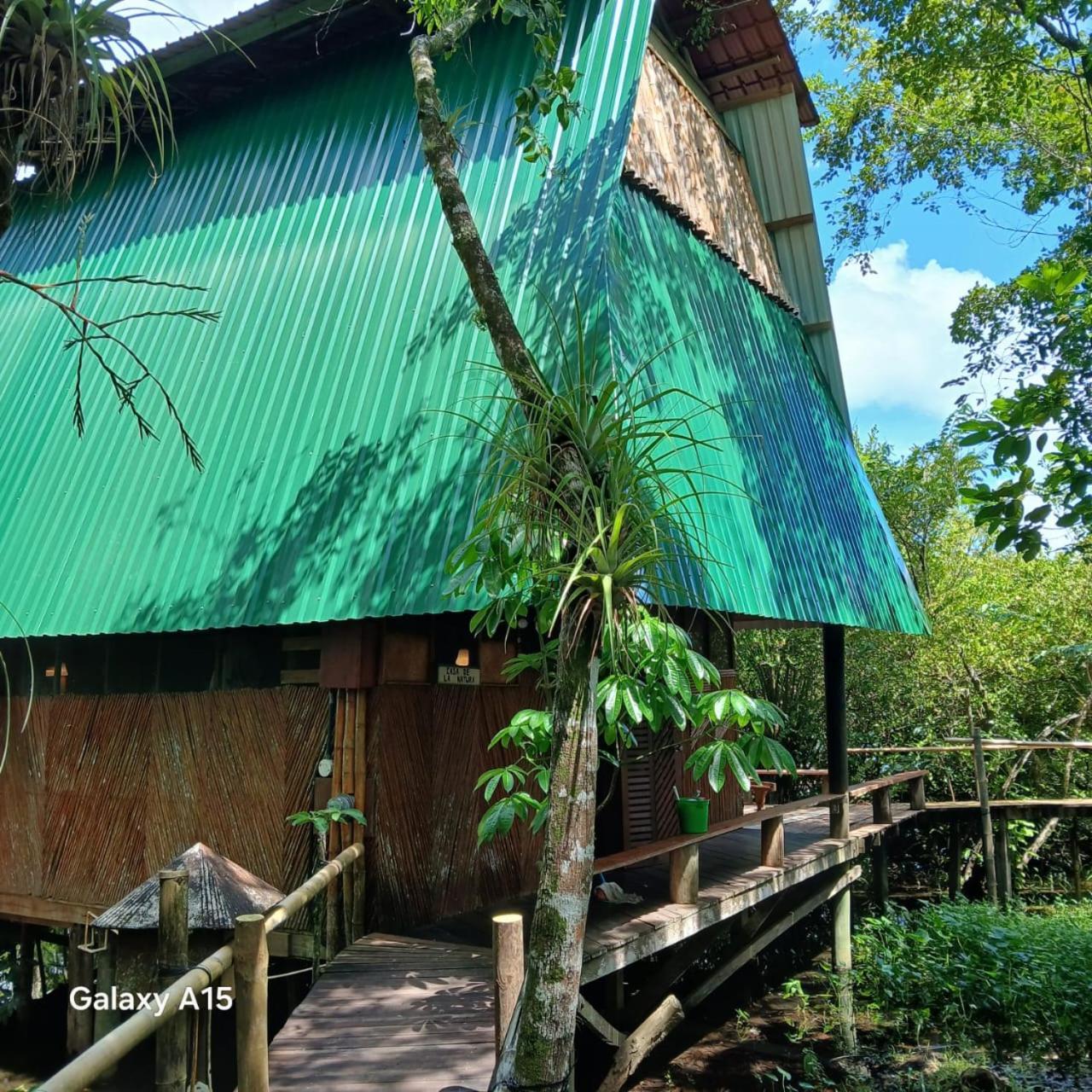 Tortugal Boutique River Lodge Rio Dulce Town Exteriör bild