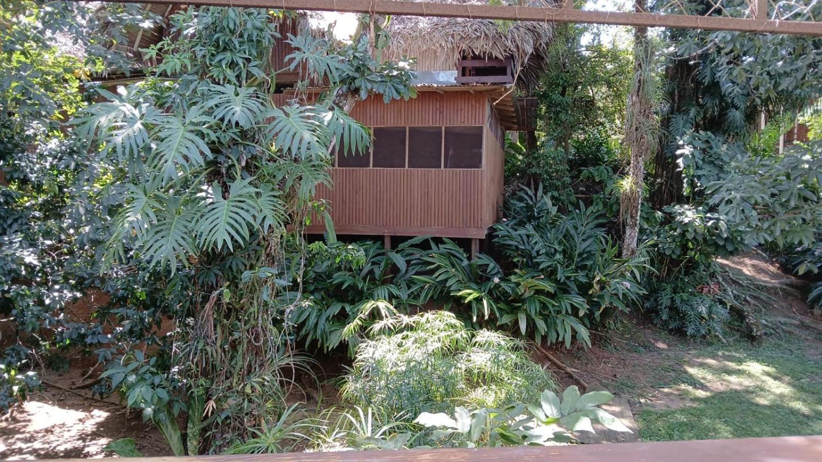 Tortugal Boutique River Lodge Rio Dulce Town Exteriör bild